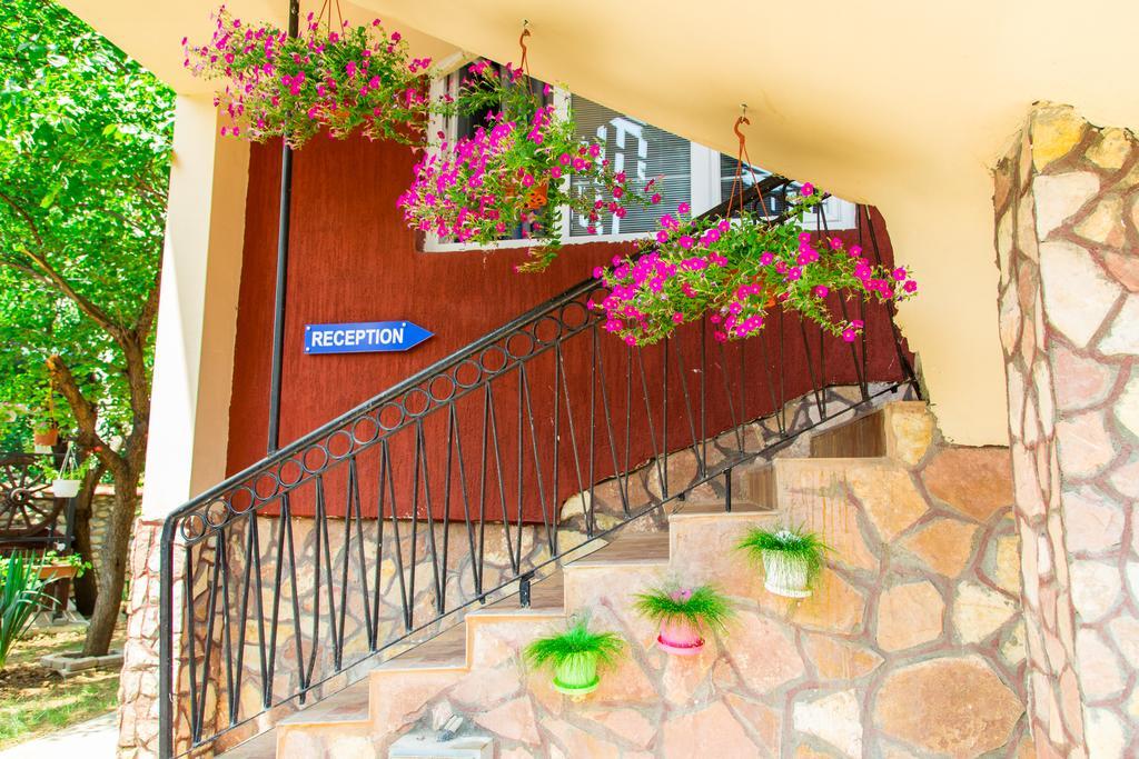 The Comfy Hostel Σκόπια Εξωτερικό φωτογραφία